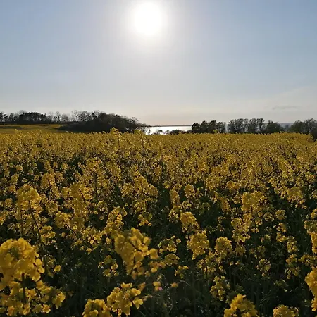 Kapitaenshaus Apartman Heringsdorf